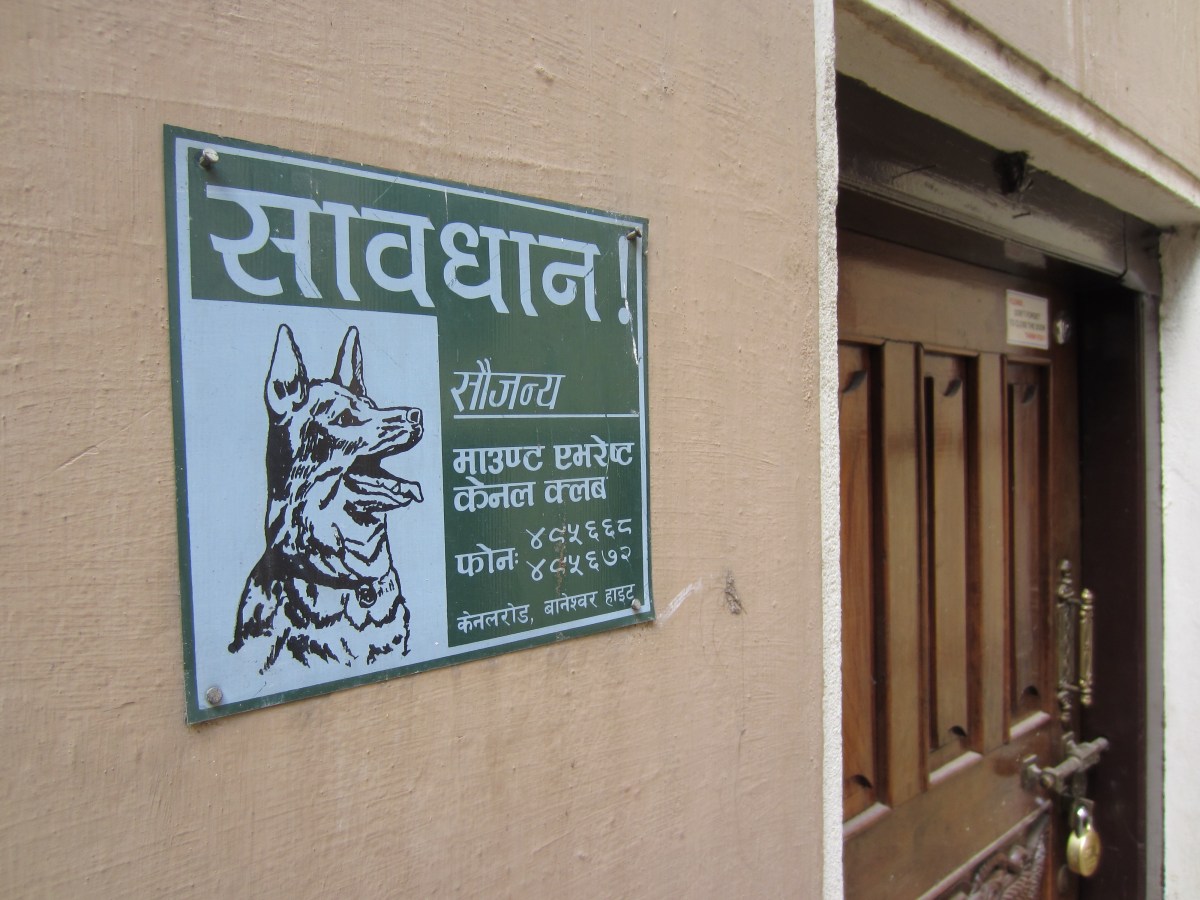 Beware of the Dog - Patan