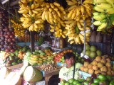 HFHI Global Village, Quezon City, Manila, Philippines – Filipino&nbsp;Fruits